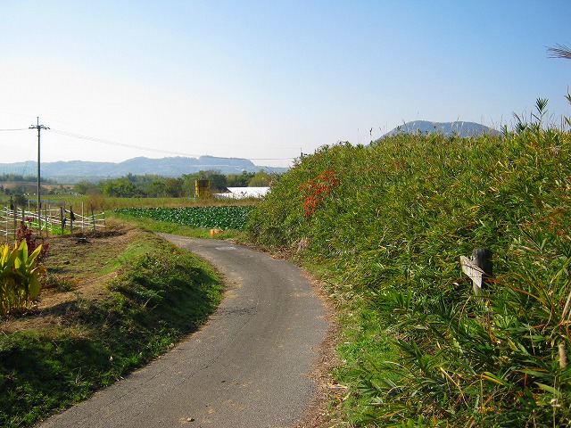 k18_064.jpg