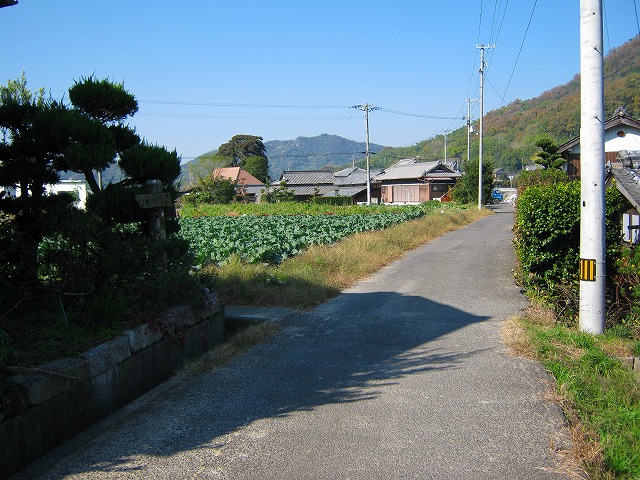 k18_080.jpg