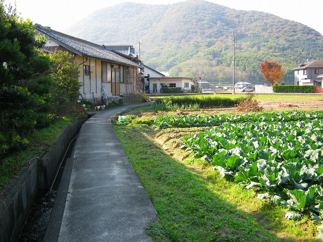 k18_081.jpg
