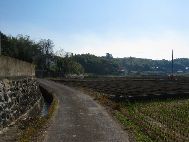 k18_083.jpg