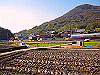 k18_086_thumb.png