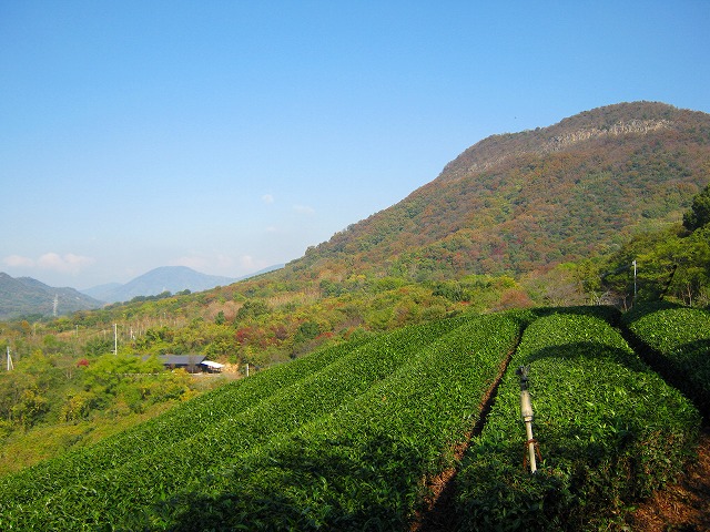 k18_097.jpg