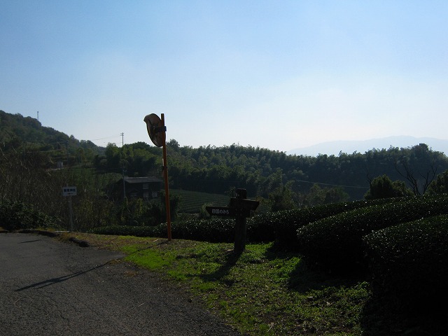 k18_098.jpg