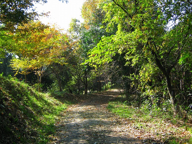 k18_100.jpg