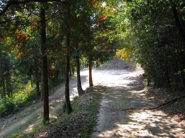k18_101.jpg
