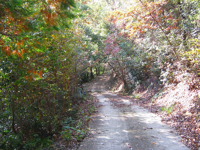 k18_106.jpg