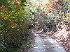 k18_106_thumb.png
