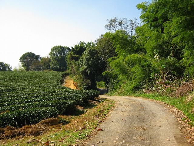 k18_107.jpg