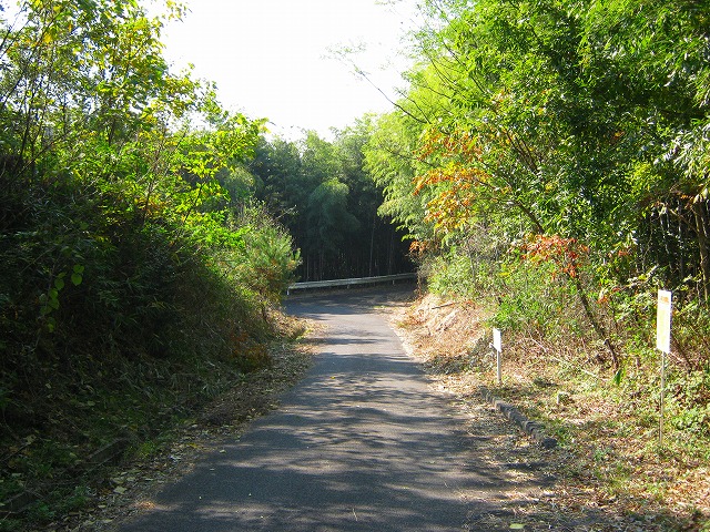 k18_109.jpg