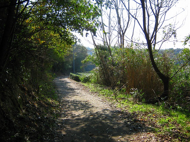 k18_111.jpg