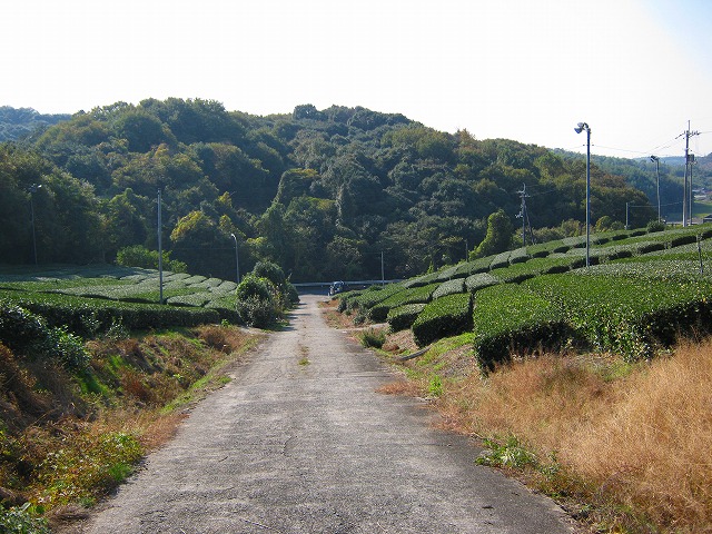 k18_112.jpg