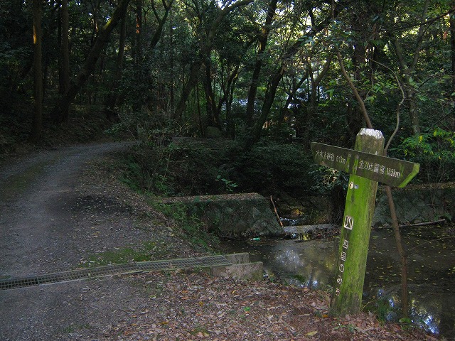 k18_113.jpg
