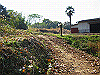 k19_29_thumb.png