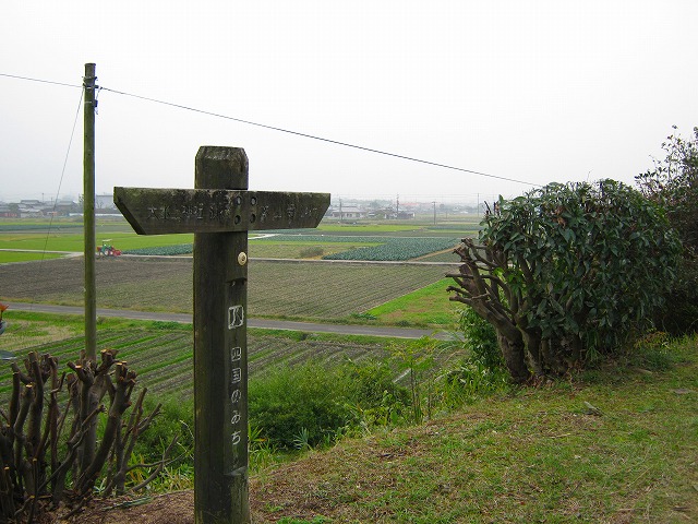 k19_39.jpg
