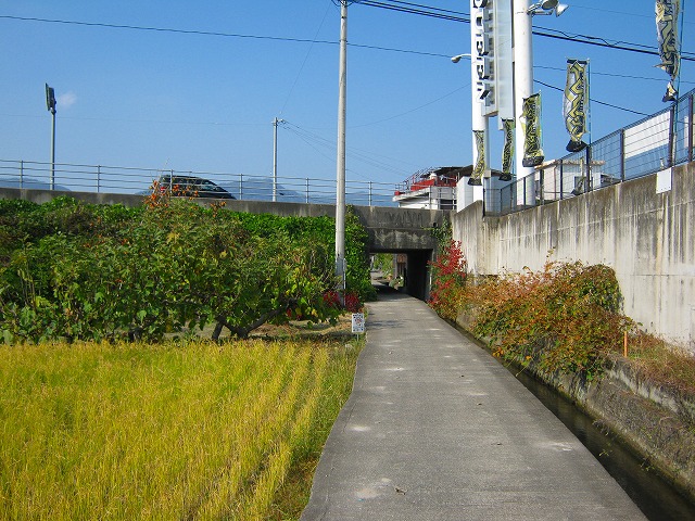 k19_61.jpg