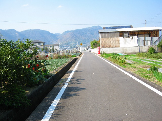 k20_004.jpg
