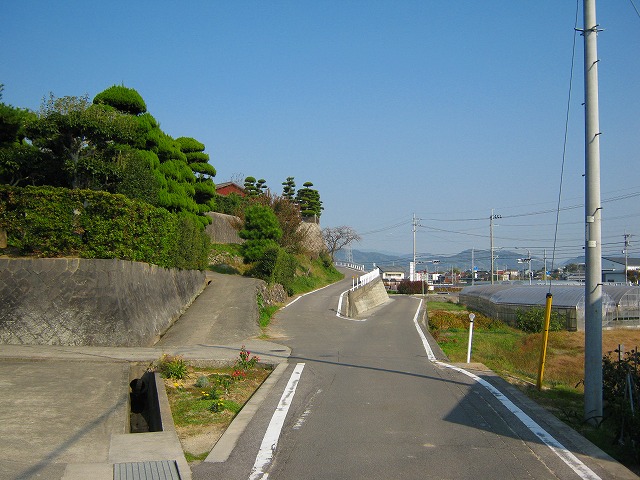 k20_010.jpg