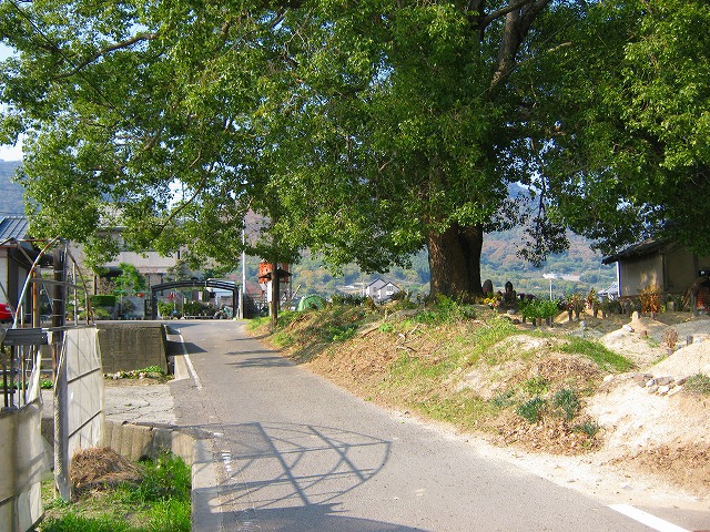 k20_011.jpg