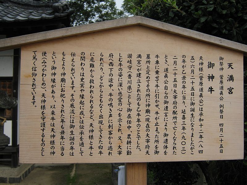 k20_017.jpg