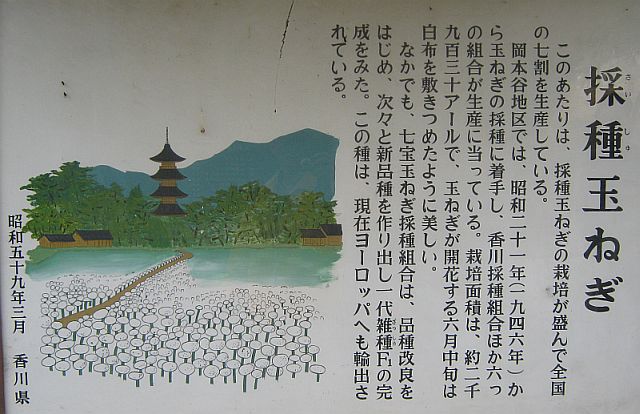 k20_023.jpg