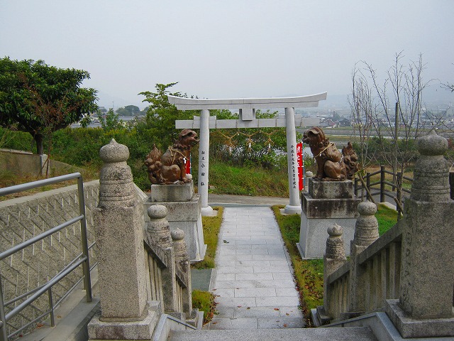 k20_024.jpg