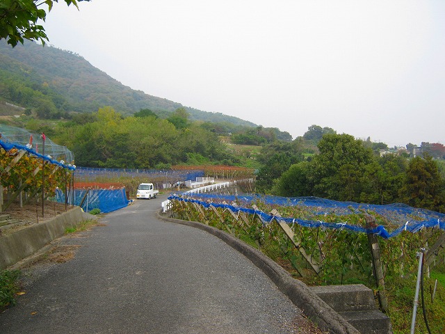 k20_026.jpg