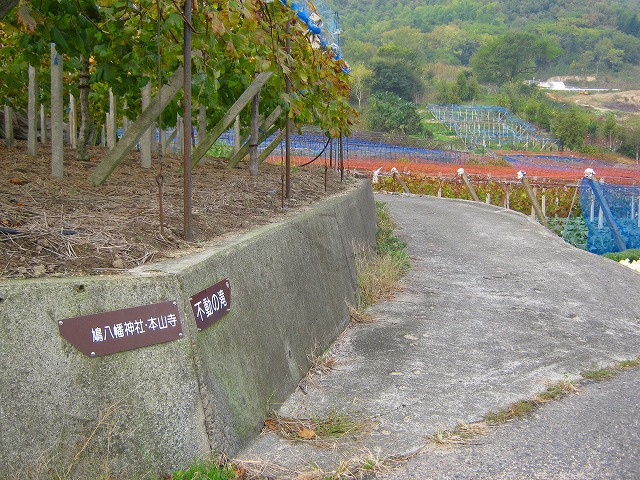 k20_027.jpg