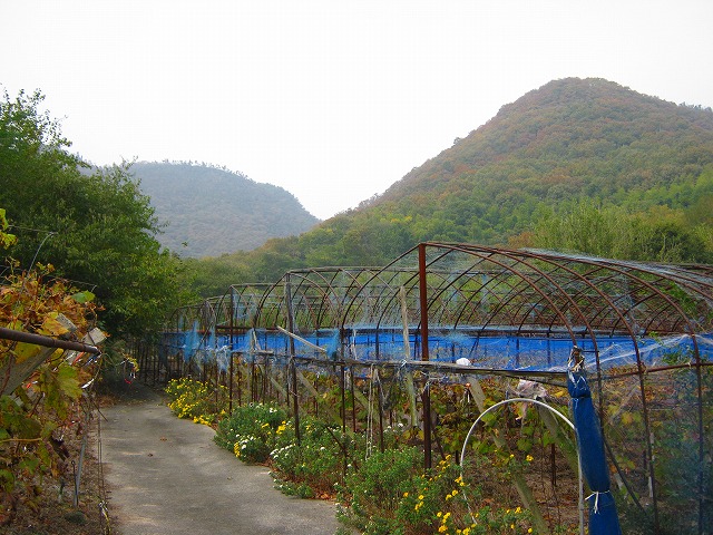 k20_029.jpg