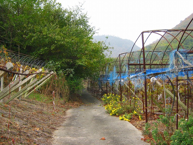 k20_030.jpg