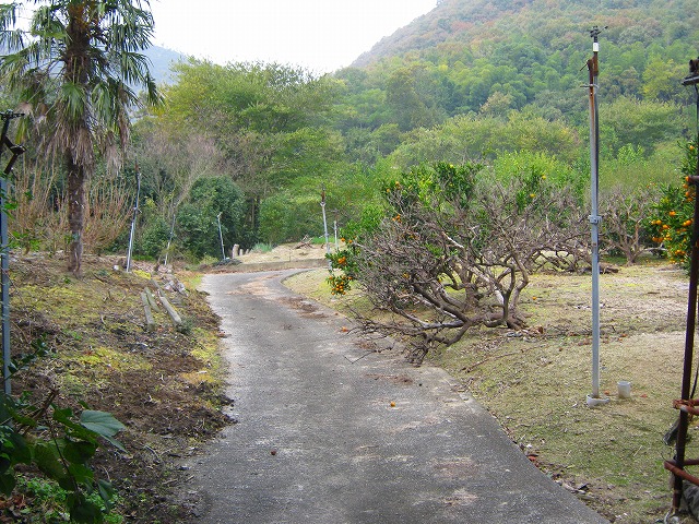 k20_031.jpg