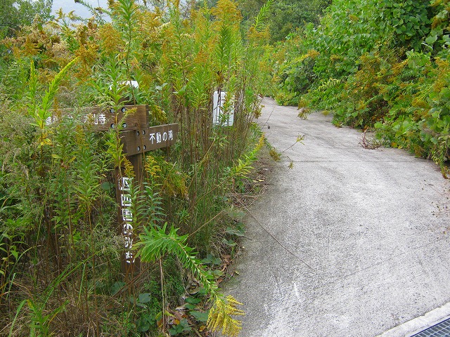 k20_036.jpg