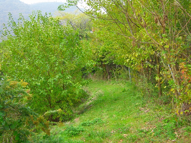 k20_039.jpg