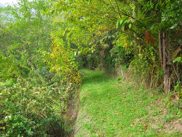 k20_041.jpg