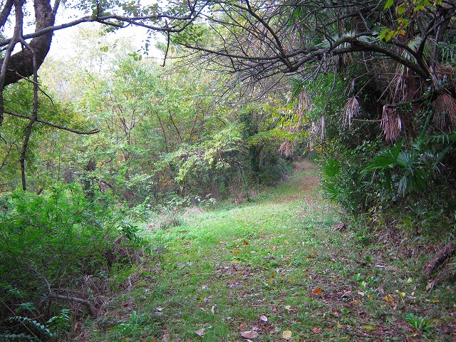 k20_042.jpg