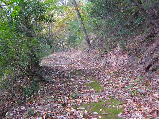 k20_043.jpg