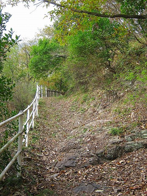 k20_047.jpg