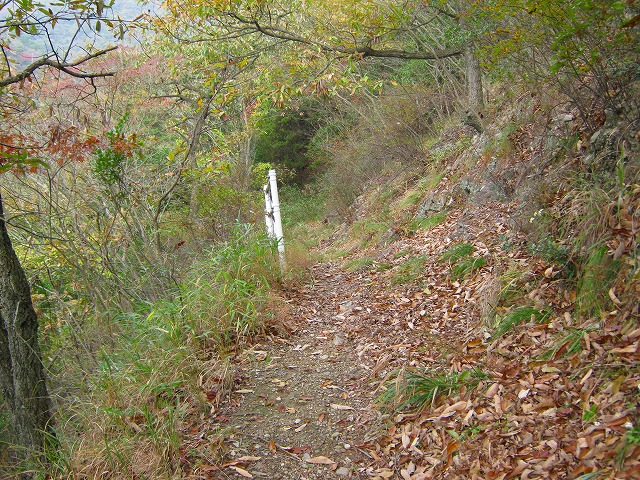 k20_050.jpg