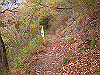 k20_050_thumb.png