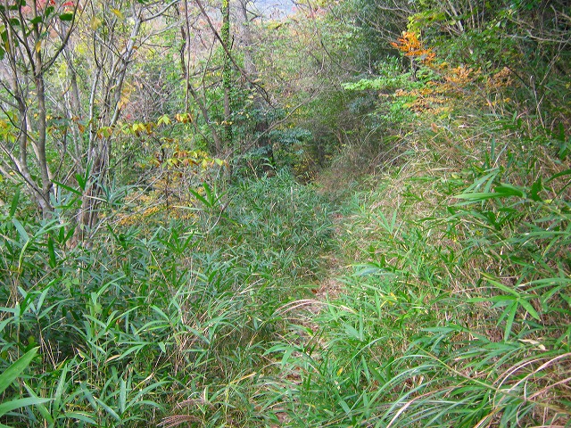 k20_051.jpg