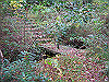k20_052_thumb.png