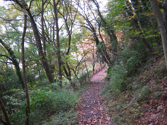 k20_059.jpg