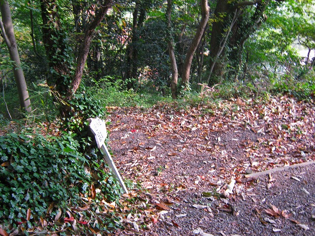 k20_060.jpg