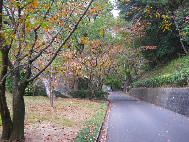k20_070.jpg