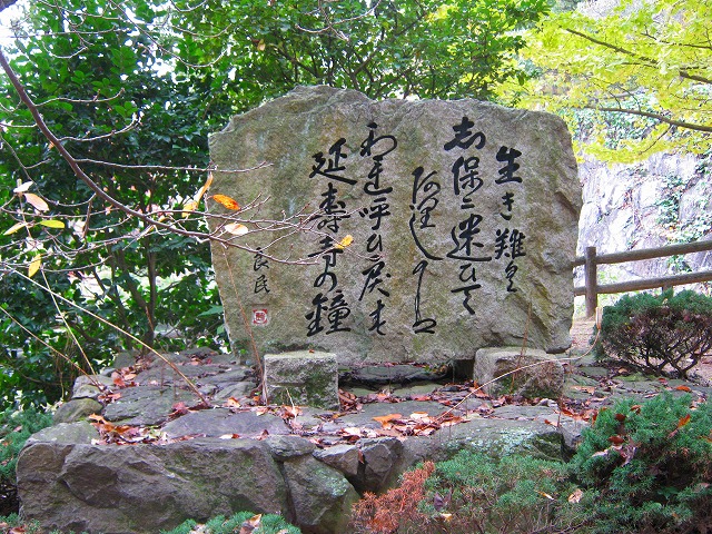 k20_071.jpg