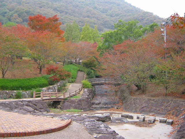 k20_072.jpg