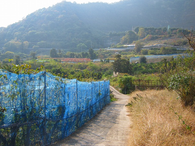 k20_078.jpg