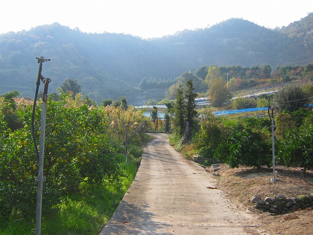 k20_079.jpg