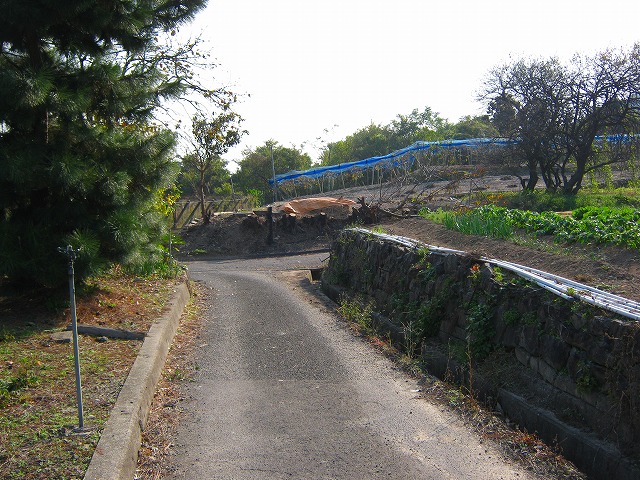 k20_082.jpg