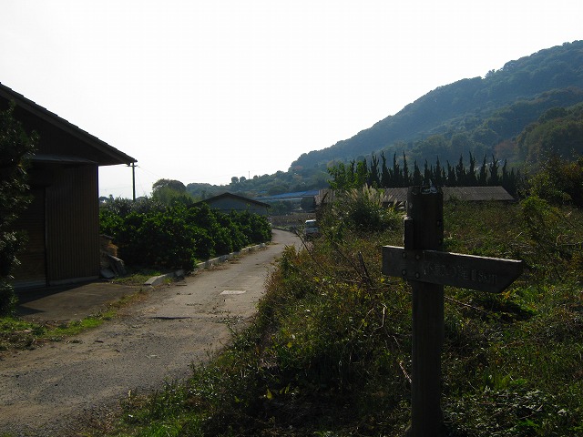 k20_083.jpg