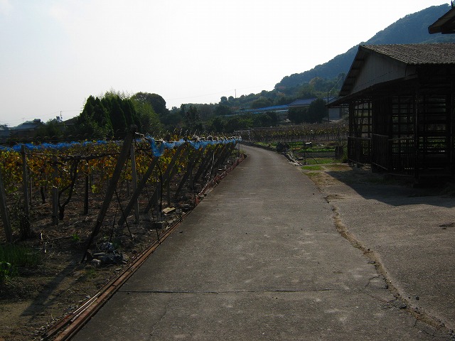 k20_084.jpg